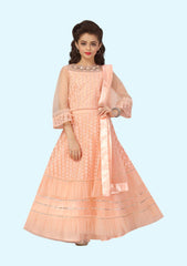 Light Pink Embroidered Party Wear Gown