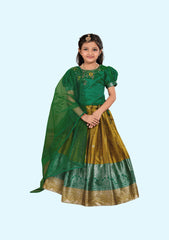 New Traditional Ethnic Wear for Girls Lehenga with Dupatta