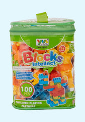 Building Blocks - Set of 100