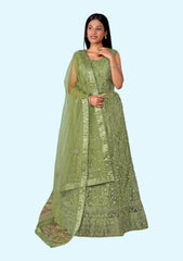 Embroidered Semi Stitched Lehenga Choli (Mehendi)