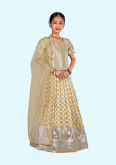 New Traditional Ethnic Wear for Girls Lehenga with Dupatta