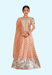 New Traditional Ethnic Wear for Girls Lehenga with Dupatta