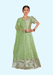 New Traditional Ethnic Wear for Girls Lehenga with Dupatta