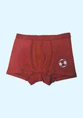 Brief For Boys  (Multicolor Pack of 3)