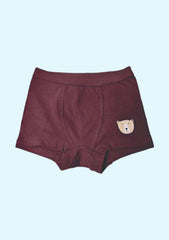 Brief For Boys  (Multicolor Pack of 3)