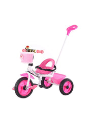 Tricycle for Kids Plug N Play Parental Handle and Seatbelt